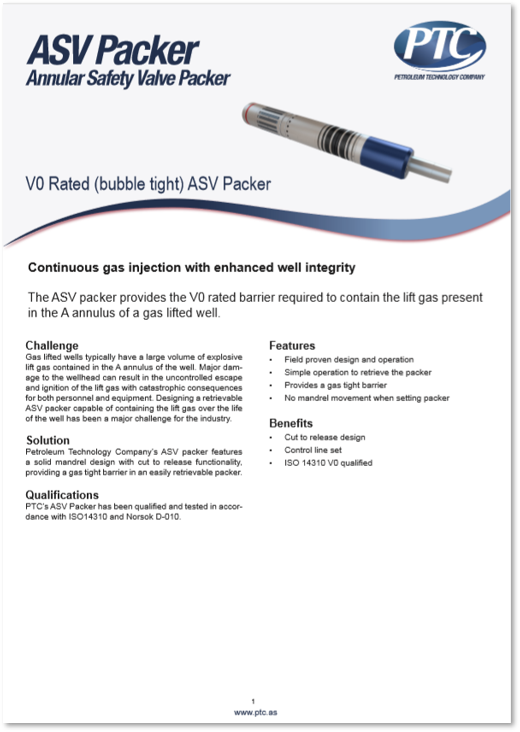 annular safety valve factory