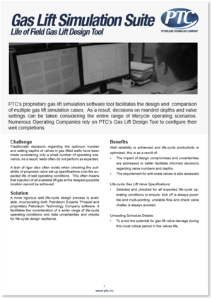 Gas Lift Simulation Suite_3D