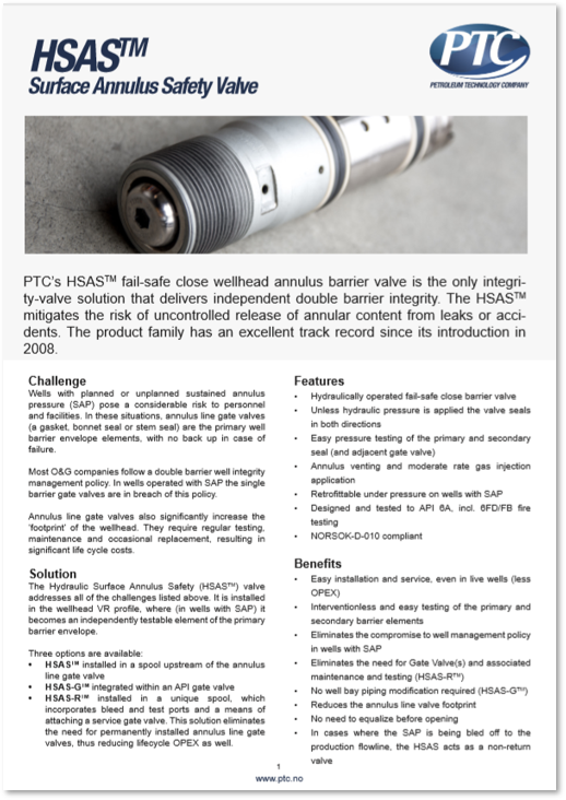 Surface Annulus Safety Valve (HSAS)